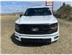 2024 Ford F-150 XLT (Stk: 24T6019) in Pincher Creek - Image 2 of 18