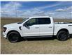 2024 Ford F-150 XLT (Stk: 24T6019) in Pincher Creek - Image 3 of 18