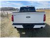 2024 Ford F-150 XLT (Stk: 24T6019) in Pincher Creek - Image 5 of 18