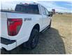 2024 Ford F-150 XLT (Stk: 24T6019) in Pincher Creek - Image 4 of 18