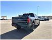 2025 Ford F-150 Tremor (Stk: S45504) in Hague - Image 8 of 15