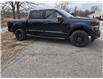 2025 Ford F-150 XLT (Stk: 025012) in Madoc - Image 3 of 20