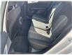 2024 Kia Forte LX (Stk: 250352) in Ottawa - Image 10 of 21