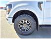2025 Ford F-150 Tremor (Stk: S43483) in Hague - Image 10 of 15