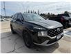 2022 Hyundai Santa Fe ESSENTIAL (Stk: T25046A) in Sundridge - Image 8 of 18