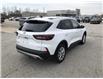2023 Ford Escape Active (Stk: CM00168T) in Chatham - Image 6 of 24