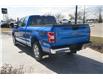 2019 Ford F-150 XLT (Stk: P11867) in Red Deer - Image 5 of 19