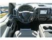 2019 Ford F-150 XLT (Stk: P11867) in Red Deer - Image 13 of 19