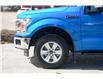2019 Ford F-150 XLT (Stk: P11867) in Red Deer - Image 18 of 19