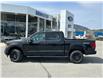 2025 Ford F-150 XLT (Stk: 57D83793) in Penticton - Image 5 of 20