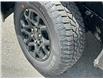 2025 Ford F-150 XLT (Stk: 57D83793) in Penticton - Image 3 of 20