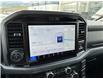 2025 Ford F-150 XLT (Stk: 57D83793) in Penticton - Image 13 of 20
