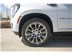 2025 GMC Yukon Denali (Stk: 42220) in Red Deer - Image 22 of 23