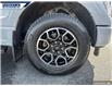 2021 Ford F-150 Lariat (Stk: P4216) in Dartmouth - Image 7 of 24