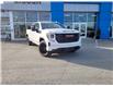 2024 GMC Sierra 1500 Elevation (Stk: 8K24274) in Thetford Mines - Image 2 of 13