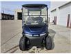 2025 EZ-GO FREEDOM RXV ELITE LITHIUM (Stk: 25EZ-006) in Grande Prairie - Image 5 of 10
