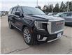 2023 GMC Yukon Denali (Stk: B12459) in Orangeville - Image 7 of 24