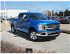 2019 Ford F-150 XLT (Stk: P11867) in Red Deer - Image 1 of 19