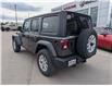 2023 Jeep Wrangler Sport (Stk: 04369-OC) in Orangeville - Image 3 of 20