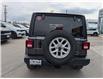 2023 Jeep Wrangler Sport (Stk: 04369-OC) in Orangeville - Image 4 of 20