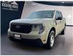 2025 Ford Maverick XL (Stk: 12068) in Golden - Image 1 of 17