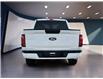 2025 Ford F-150 XLT (Stk: 12065) in Golden - Image 6 of 17