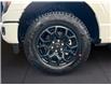2025 Ford F-150 XLT (Stk: 12065) in Golden - Image 16 of 17