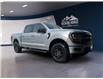 2025 Ford F-150 XLT (Stk: 12042) in Golden - Image 3 of 17