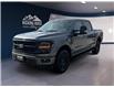 2025 Ford F-150 XLT (Stk: 12041) in Golden - Image 1 of 17