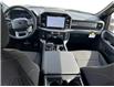 2025 Ford F-150 XLT (Stk: 12041) in Golden - Image 11 of 17