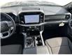 2025 Ford F-150 XLT (Stk: 12041) in Golden - Image 12 of 17