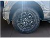 2025 Ford F-150 XLT (Stk: 12041) in Golden - Image 16 of 17