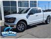 2025 Ford F-150 XLT (Stk: 25113) in High River - Image 1 of 12