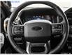 2025 Ford F-150 Tremor (Stk: XFP566) in Sarnia - Image 12 of 24