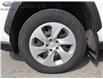 2021 Toyota RAV4 LE (Stk: 18-SQ220A) in Ottawa - Image 13 of 30