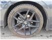 2022 Honda Civic Sport (Stk: 18-SQ365A) in Ottawa - Image 14 of 32