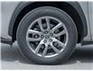2021 Lexus NX 300 Base (Stk: LN15548A) in Toronto - Image 4 of 29