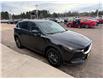 2019 Mazda CX-5 GX (Stk: 24328) in Pembroke - Image 8 of 28