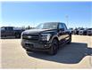 2025 Ford F-150 Lariat (Stk: S81126) in Hague - Image 4 of 15