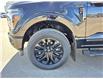 2025 Ford F-150 Lariat (Stk: S81126) in Hague - Image 10 of 15