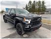 2025 Chevrolet Silverado 1500 LT Trail Boss (Stk: 25184) in Green Valley - Image 12 of 14