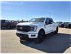 2025 Ford F-150 Lariat (Stk: S53025) in Hague - Image 4 of 15