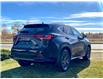 2025 Lexus NX 250 Base (Stk: 250757) in Calgary - Image 3 of 27