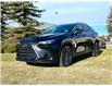 2025 Lexus NX 250 Base (Stk: 250757) in Calgary - Image 6 of 27