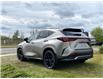 2025 Lexus NX 350 Base (Stk: 250779) in Calgary - Image 4 of 24
