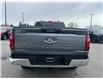 2024 Ford F-150 XLT (Stk: P25-16) in Embrun - Image 5 of 9