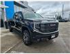 2024 GMC Sierra 1500 AT4 (Stk: NR16884) in Newmarket - Image 3 of 26