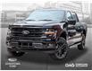 2025 Ford F-150 XLT (Stk: 250441) in Toronto - Image 1 of 25