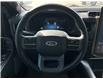 2023 Ford F-150 Lightning Lariat (Stk: 25307) in Calgary - Image 13 of 22