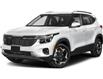 2025 Kia Seltos EX Premium (Stk: 53932) in Castlegar - Image 1 of 1